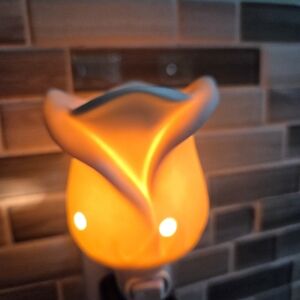 Scentsy "Tea Rose" Warmer-Valentine 🌹